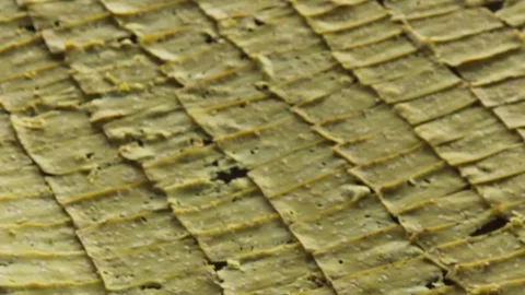 The process of making peanut crackers. Stock Footage 128791866