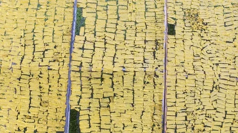 The process of making peanut crackers. Stock Footage 128791920