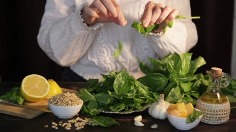 Process of making pesto sauce at home. Woman plucks leaves from basil branch Stock Footage 159742084