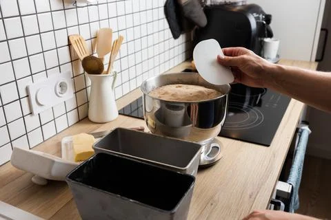The process of making rye bread. Dough on rye Stock Photos