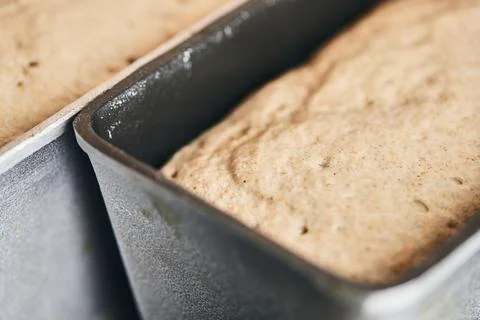 The process of making rye bread. The dough on the Stock Photos