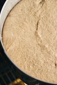 The process of making rye bread. Dough on rye Stock Photos
