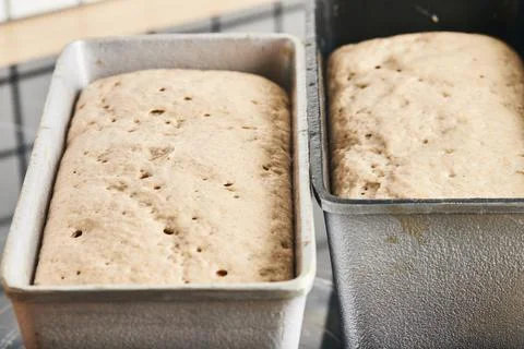 The process of making rye bread. The dough on the Stock Photos