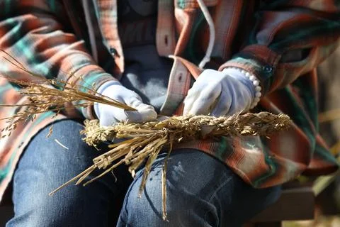 The process of making Shimenawa (sacred ropes) Stock Photos