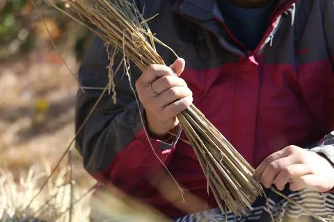 The process of making Shimenawa (sacred ropes) Fotos Stock