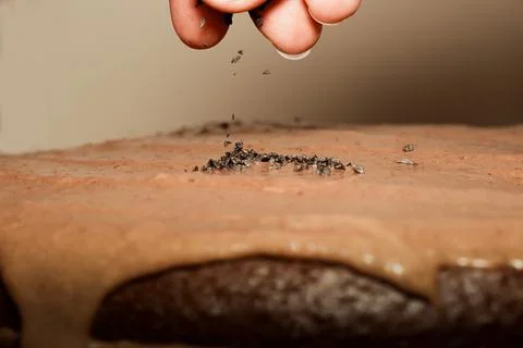 The process of making sponge chocolate cake with coffee cream. Stock Photos