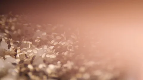 Process of making sushi rolls. Stock Footage 106226179