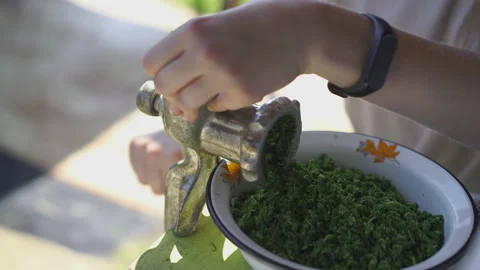 The process of making tea, willow-herb, manual labor, close-up Stock Footage 134321969