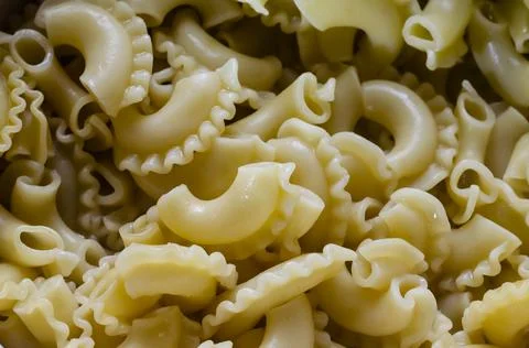 Process of making traditional pasta close-up. Stock Photos