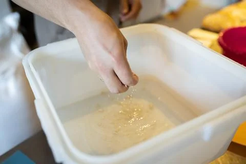 The process of making wheat bread. Adding yeast to Stock Photos