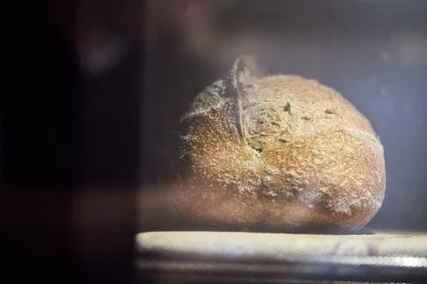 The process of making wheat bread at home. Baking Stock Photos
