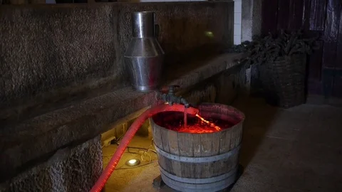 The process of making wine. Stockbeeldmateriaal 80248575