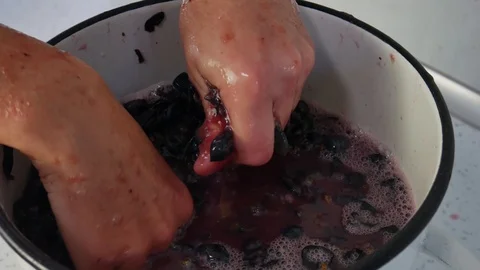 The Process of Making Wine, Squeezing red grape, Grape Juice Stock Footage 116553052