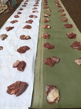 The process of managing and distributing beef sacrificial animals Stock Photos