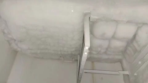The process of melting the ice in the refrigerator freezer 動画素材 295410522