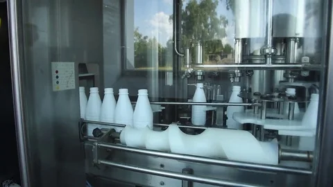 The process of milk bottling in a dairy factory Stock Footage 80768872