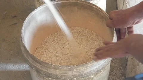 The process of milling rice into rice using a grinding machine Stock Footage 311272123