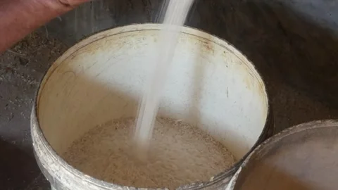 The process of milling rice into rice using a grinding machine Stock Footage 311272150