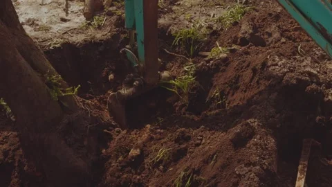 The process of the mini tractor, tractor driver Vidéo 334058869