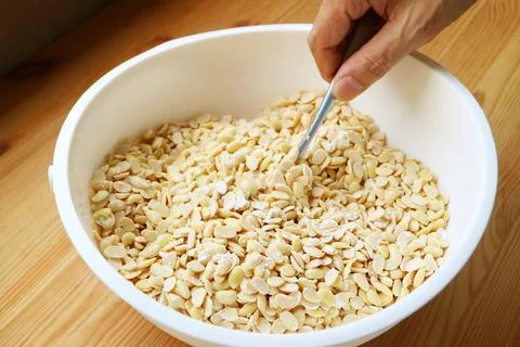 Process of Mix Powdered Tempeh Starter with Boiled Soybeans Stock Photos
