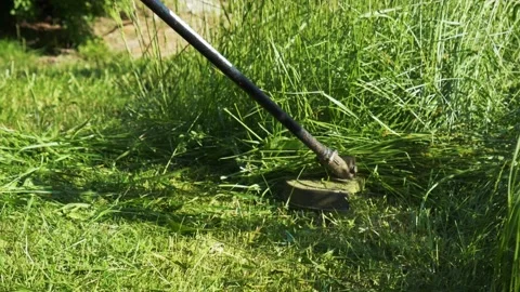 Process of mowing grass on lawn with electric trimmer or lawn mower in slow Stock Footage 194416019