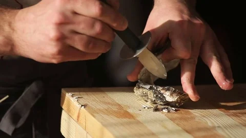 Process of opening the fresh oyster Stock Footage 84486087