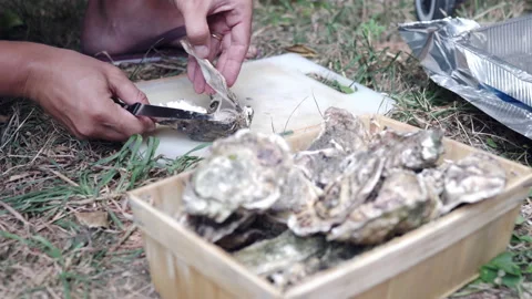 Process of opening oyster shell with oyster knife for dining at home Stock Footage 160846697