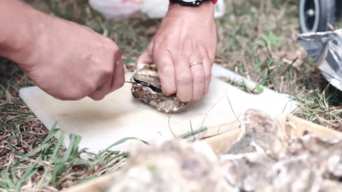 Process of opening oyster shell with oyster knife by professional fisherman Video stock 163357903