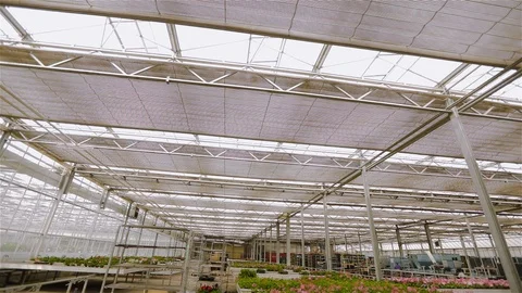 The process of opening the roof in a large modern greenhouse. Opening the roof Video stock 115906491
