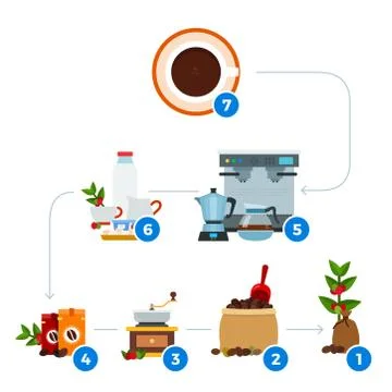Process or recipe coffee making. Vector flat illustrations. Coffee drink Stock Illustration