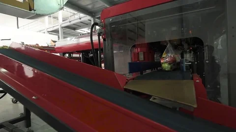 The process of packing apples at a fruit factory Stock Footage 83032874
