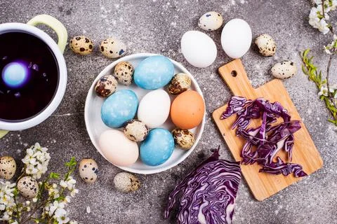 Process of painting Easter eggs in blue Foto stock