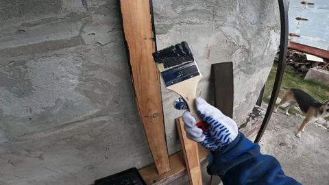 The process of painting wood Stock Footage 334338224