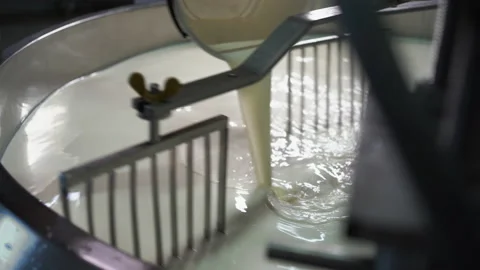 Process of Parmesan cheese production in Italy. Factory worker processing Stock Footage 237912149