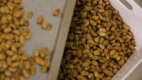 Process of peanut processing, Production process of roasted peanuts. Stock Footage 86397162