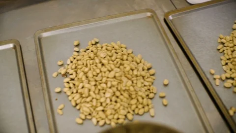 Process of peanut processing, Production process of roasted peanuts. Stock Footage 86397731