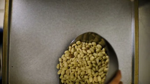 Process of peanut processing, Production process of roasted peanuts. Stock Footage 86398157