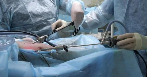 The process of performing endoscopic surgery in an animal on the abdominal Foto stock