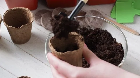 The process of planting. Stock Footage 169755628