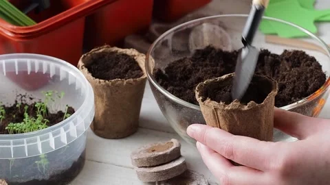 The process of planting. Stock Footage 169755679