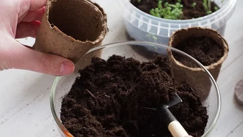 The process of planting. Stock Footage 169755685