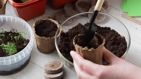 The process of planting. Stock Footage 169755688