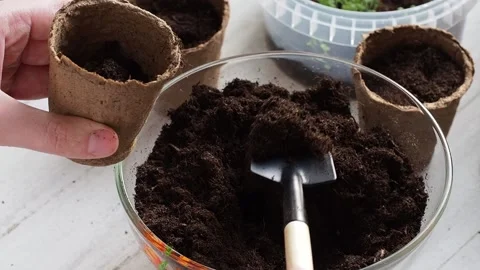 The process of planting. Stock Footage 169755721