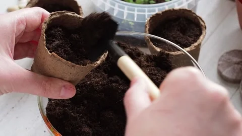 The process of planting. Stock Footage 169755776