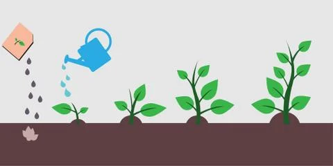 The process of planting a tree Stock Illustration