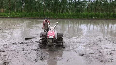 The process of plowing agricultural land Stock Footage 221775550