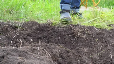 The process of plowing agricultural land using a hand cultivator tool with a Stock Footage 238908851