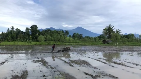 The process of plowing the field Stock Footage 221625177