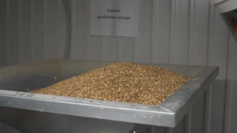 The process of pouring brewing malt Stock Footage 138120961