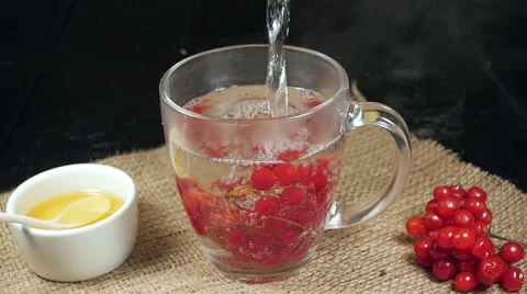 The process of pouring water into a cup with viburnum Stock Footage 57776295